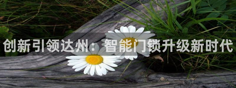 利记官网app下载：创新引领达州：智能门锁升级新时代