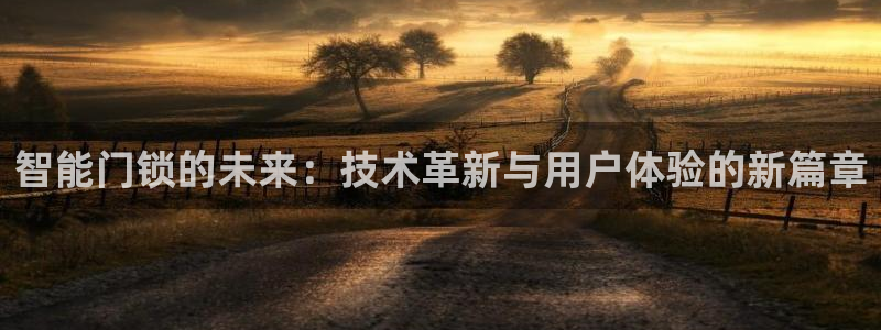 利记手机官网bb电子平台官方：智能门锁的未来：技术革新与用户