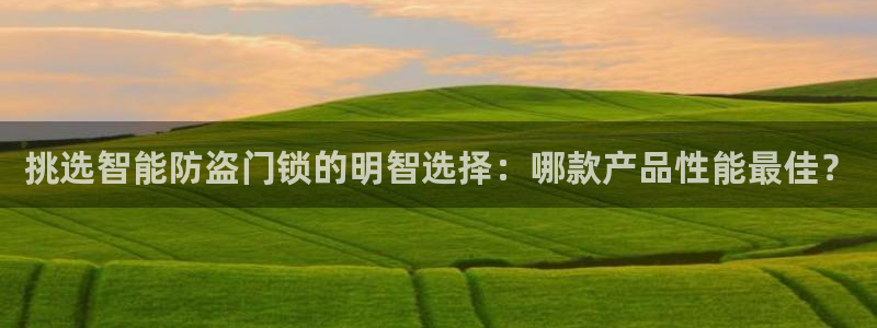 利记科技有限公司官网：挑选智能防盗门锁的明智选择：哪款产品性