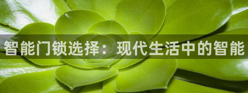 利记官网app下载：智能门锁选择：现代生活中的智能