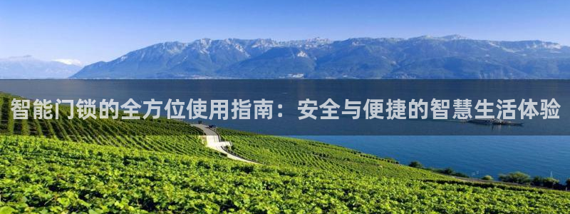 利记亚洲官网：智能门锁的全方位使用指南：安全与便捷的智慧生活