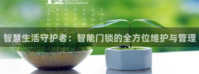 万利记加盟官网电话：智慧生活守护者：智能门锁的全方位维护与管