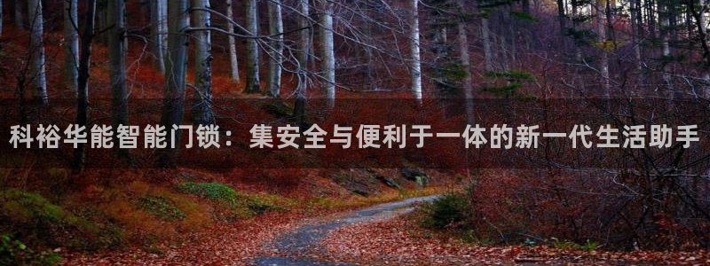 利记官网平台：科裕华能智能门锁：集安全与便利于一体的新一代生