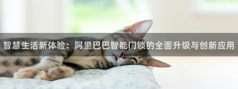 利记坊官网注册：智慧生活新体验：阿里巴巴智能门锁的全面升级与