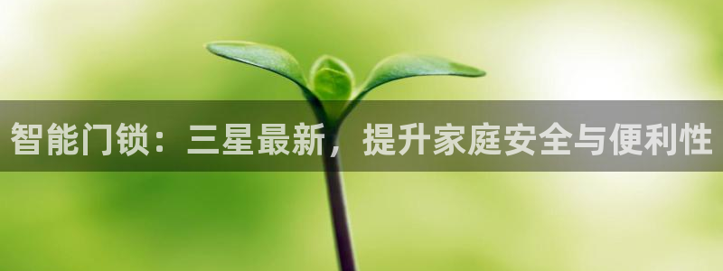 利记网官网网址