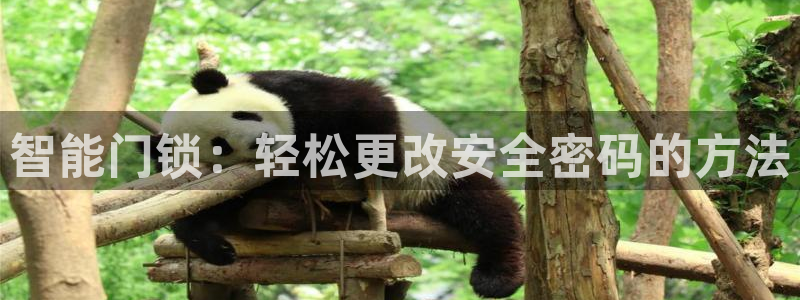 利记 官网