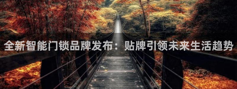 SBOBET利记官网：全新智能门锁品牌发布：贴牌引领未来生活