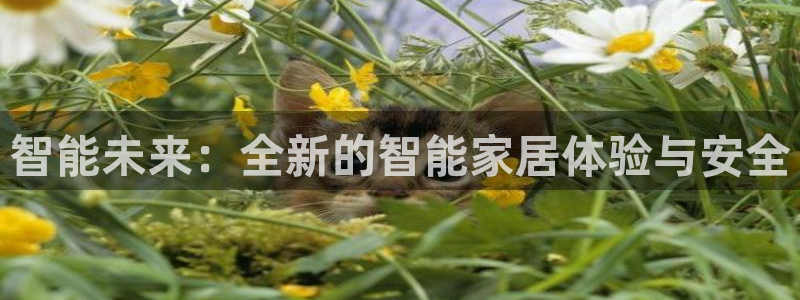 澳门大利来记官网：智能未来：全新的智能家居体验与安全