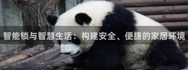 利记游戏官网