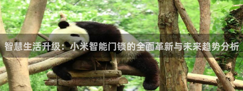 利记体育官网首页