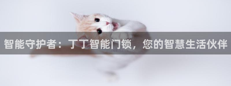 香港利记lee kee集团官网：智能守护者：丁丁智能门锁，您