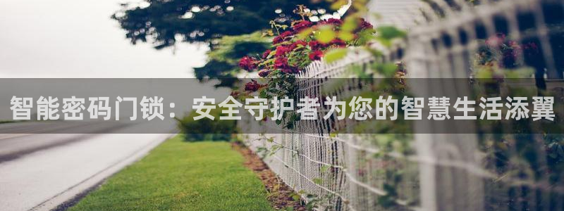 利记坊官网注册：智能密码门锁：安全守护者为您的智慧生活添翼