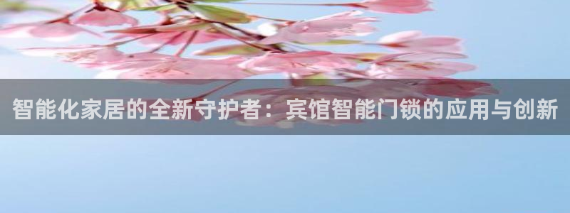 大利来记官网：智能化家居的全新守护者：宾馆智能门锁的应用与创