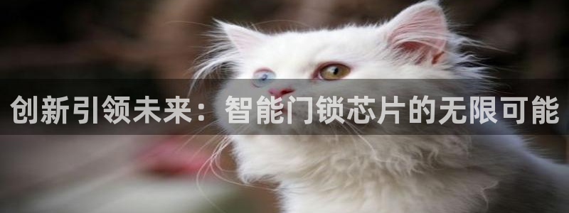 利记体育在线官网：创新引领未来：智能门锁芯片的无限可能