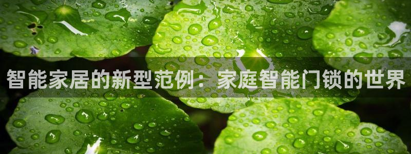 利记官网是什么：智能家居的新型范例：家庭智能门锁的世界