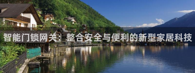 利记官网日亚运比：智能门锁网关：整合安全与便利的新型家居科技