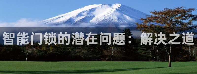 利记sbobet官网电脑版：智能门锁的潜在问题：解决之道