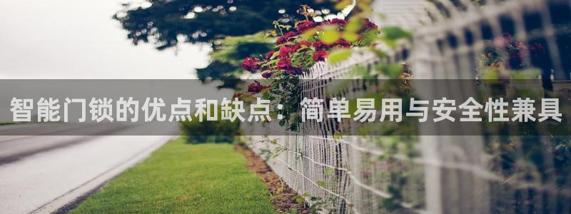 利记国际线址官网：智能门锁的优点和缺点：简单易用与安全性兼具