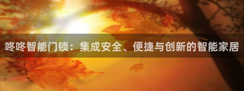 利记app官方官网登录：咚咚智能门锁：集成安全、便捷与创新的