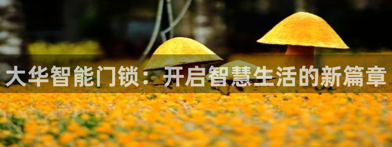 利记体育在线官网：大华智能门锁：开启智慧生活的新篇章
