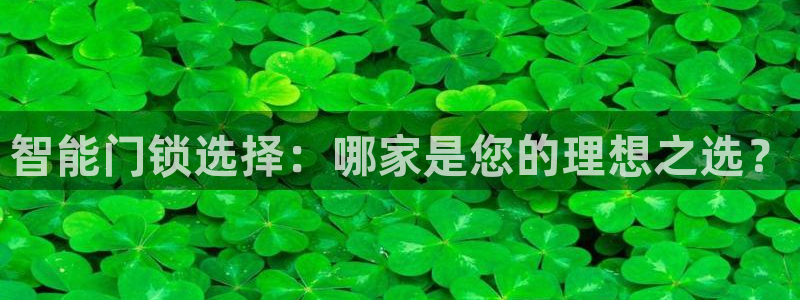 利记官网葡京投注网址：智能门锁选择：哪家是您的理想之选？