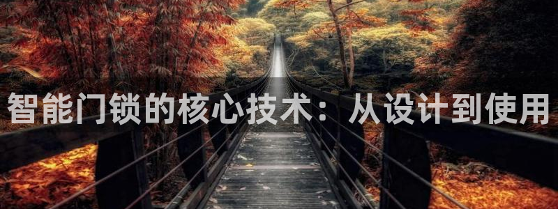 利记官网入口最新版：智能门锁的核心技术：从设计到使用