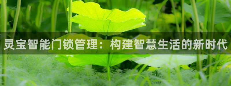 利记官网日亚运比：灵宝智能门锁管理：构建智慧生活的新时代