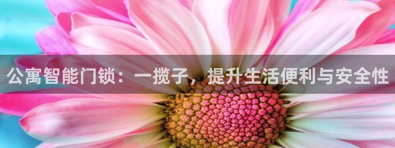 利记平台官网首页：公寓智能门锁：一揽子，提升生活便利与安全性