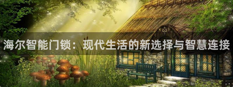利记app官网：海尔智能门锁：现代生活的新选择与智慧连接