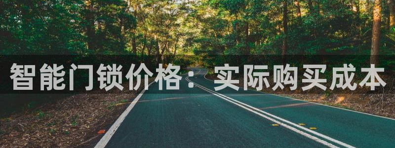 利记官网会员登录：智能门锁价格：实际购买成本