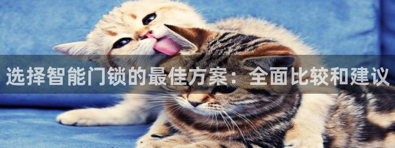 香港利记lee kee集团官网：选择智能门锁的最佳方案：全面