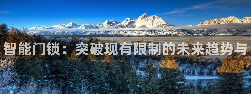 利记娱乐网唯一官网