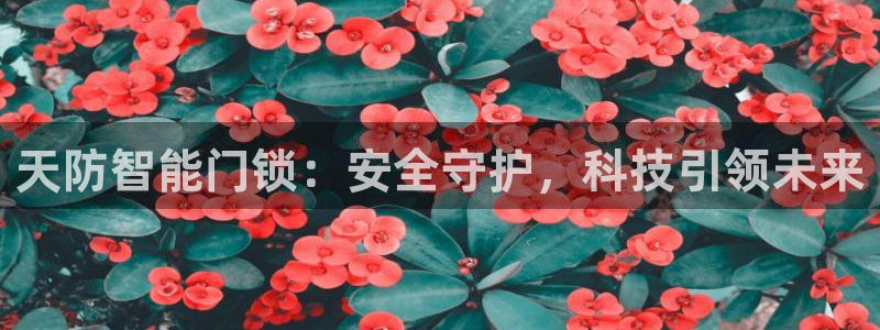 利记官网香菜1