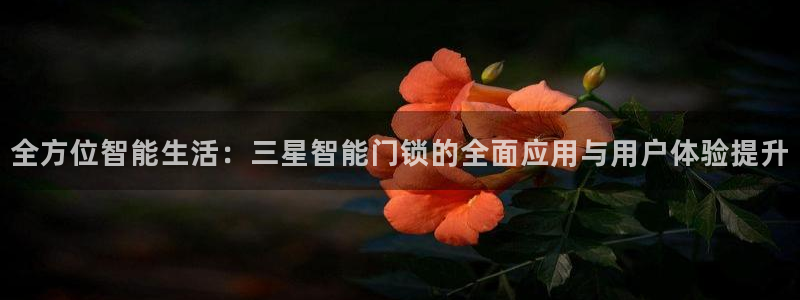 利记官网行业领导者：全方位智能生活：三星智能门锁的全面应用与
