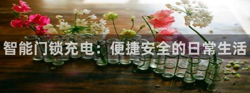 利记体育官网首页