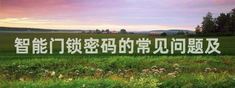 利记真的官网：智能门锁密码的常见问题及